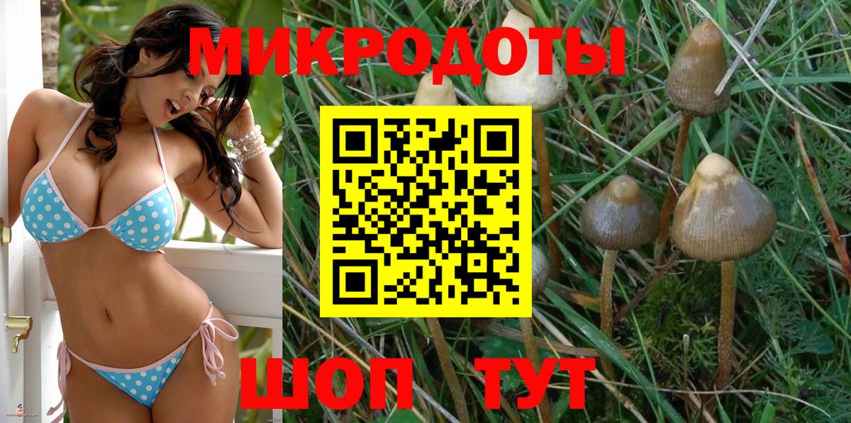 Ирбит  Псилоцибиновые грибы прущие грибы  Галлюциногенные грибы GOLDEN TEACHER  купить наркоту  Вход с VPN 
