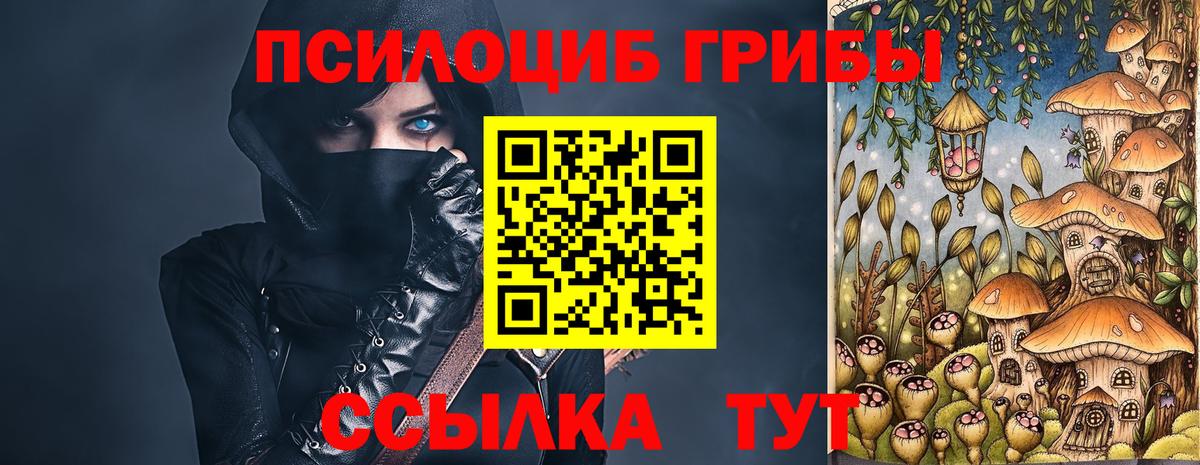 Псилоцибиновые грибы Psilocybe Ирбит